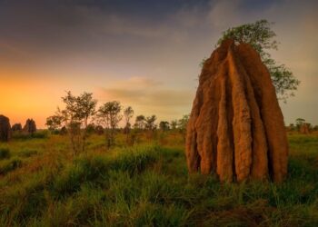Satu Hati Satu Tujuan