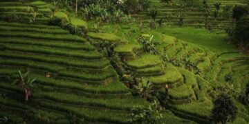 Gelar Jambore Desa Wisata, Desa Purwabakti Pamijahan Kabupaten Bogor Jadi Tuan Rumah Desa Wisata