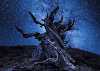 PADA LINANG AIR MATAMU