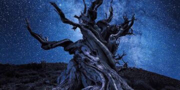 PADA LINANG AIR MATAMU