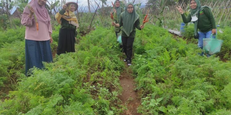 Pengunjung yang membeli dan memanen sendiri (Foto: Usman Abdul Fakih)