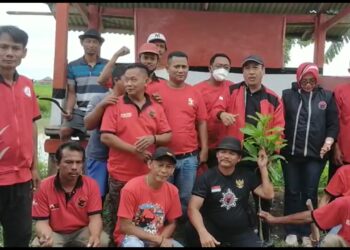 Peringati 50 Tahun PDI Perjuangan, Pengurus PDIP Kec. Gebang Gelar Tanam Pohon dan Santunan