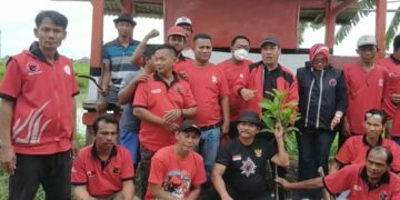 Peringati 50 Tahun PDI Perjuangan, Pengurus PDIP Kec. Gebang Gelar Tanam Pohon dan Santunan