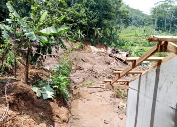 PIDATO KENEGARAAN PETANI TANPA SAWAH DAN LADANG DI DEPAN POHON SAWO JUMBO OKULASI