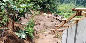 PIDATO KENEGARAAN PETANI TANPA SAWAH DAN LADANG DI DEPAN POHON SAWO JUMBO OKULASI