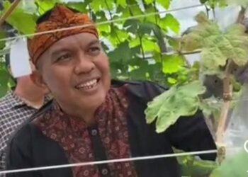 Tergiur Kursi Sexy KBB! Arsan Latif Dipastikan Bisa Bidik Rekom Gerindra, Pengamat Bilang Begini