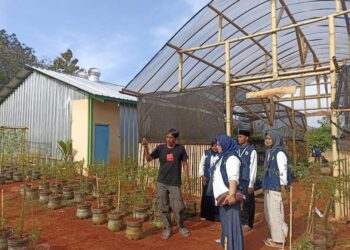 Melalui Program One Village One Product, Mahasiswa KKN UNU Berencana Sulap Buah Mangga Jadi Cemilan
