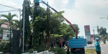 Musim Hujan, DPRKP Banyak Terima Permintaan Pangkas Pohon