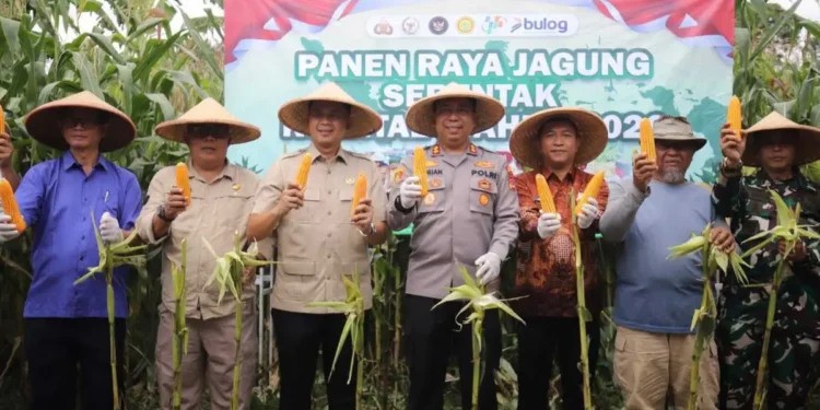 Anggota DPRD Kabupaten Sukabumi, Hera Iskandar (ketiga dari kiri) saat menghadiri acara Panen Raya Jagung Serentak Kuartal I yang diselenggarakan oleh Polres Sukabumi. (Sumber Foto: Diskominfosan Kab. Sukabumi)