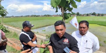 Bambang Mujiarto Dorong Kurikulum Pertanian Masuk Sekolah Demi Cetak Petani Milenial
