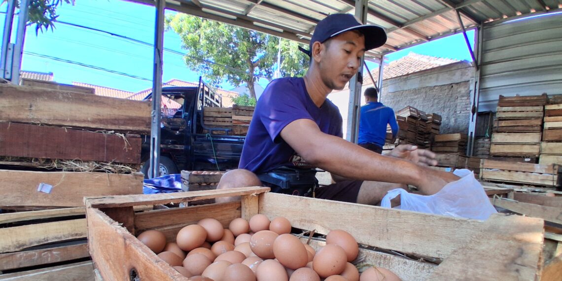 Dampak Dapur SPPG Tutup Sementara, Harga Telur di Cirebon Anjlok
