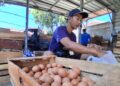 Dampak Dapur SPPG Tutup Sementara, Harga Telur di Cirebon Anjlok