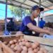 Dampak Dapur SPPG Tutup Sementara, Harga Telur di Cirebon Anjlok