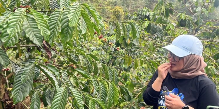 KPw BI Cirebon Wihujeng Ayu Rengganis saat mencicipi buah kopi di Bontanika Kopi.