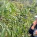 Dari Biji Kopi Biasa Jadi Dinikmati Dunia
